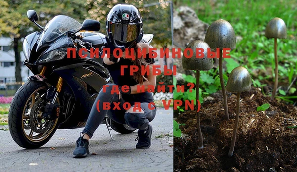 дживик Осинники