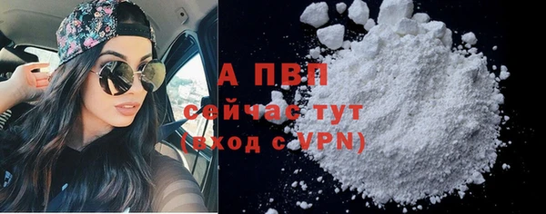 дживик Осинники