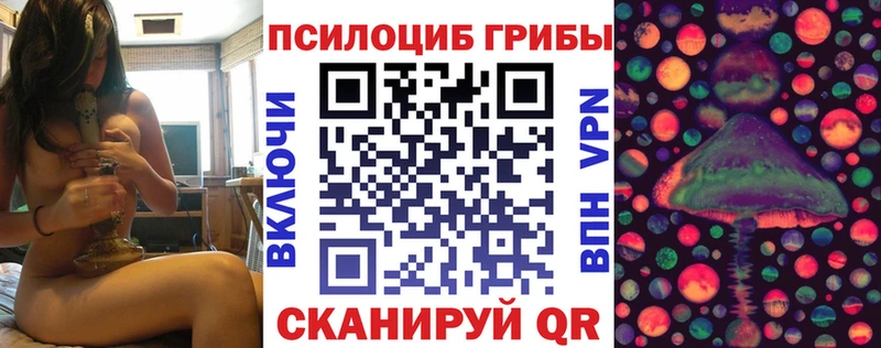 Псилоцибиновые грибы GOLDEN TEACHER  купить наркотики сайты  Нестеровская 