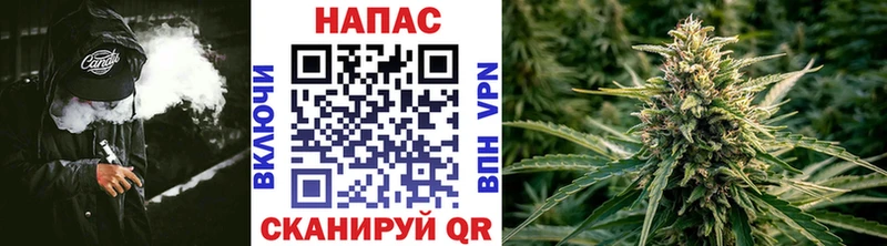 Конопля тримм  Нестеровская 